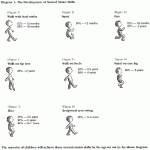 Fine and Gross Motor Skills Development in Children